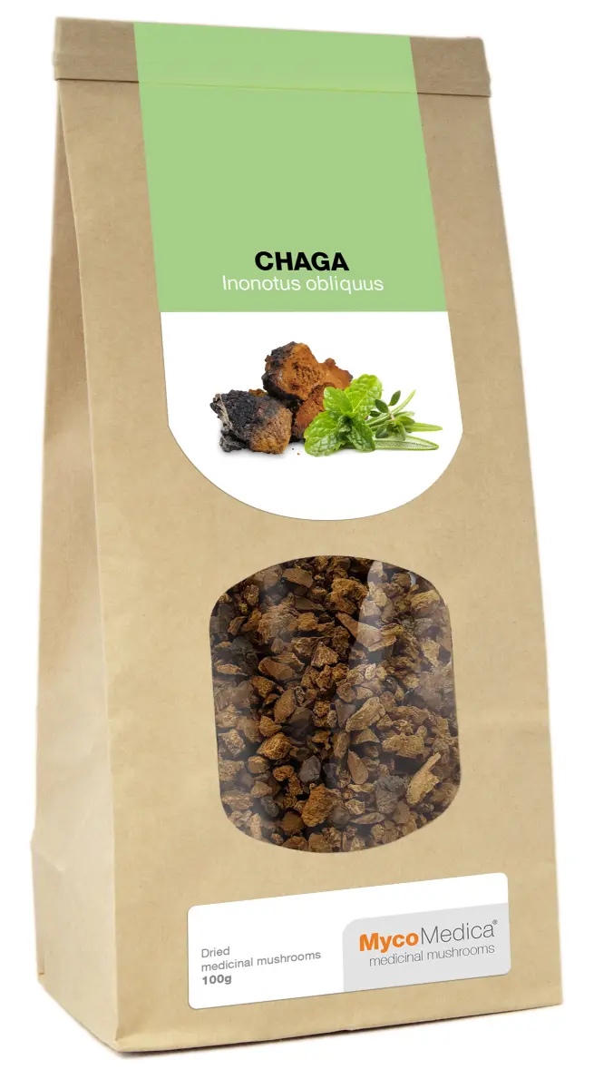 Getrocknete Chaga