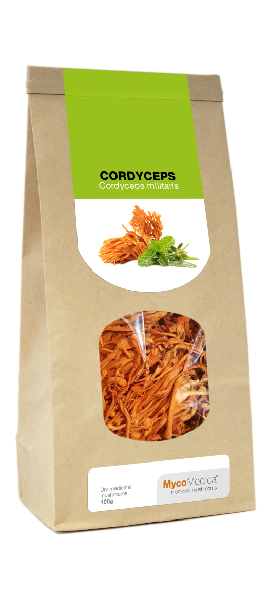 Getrocknet Cordyceps