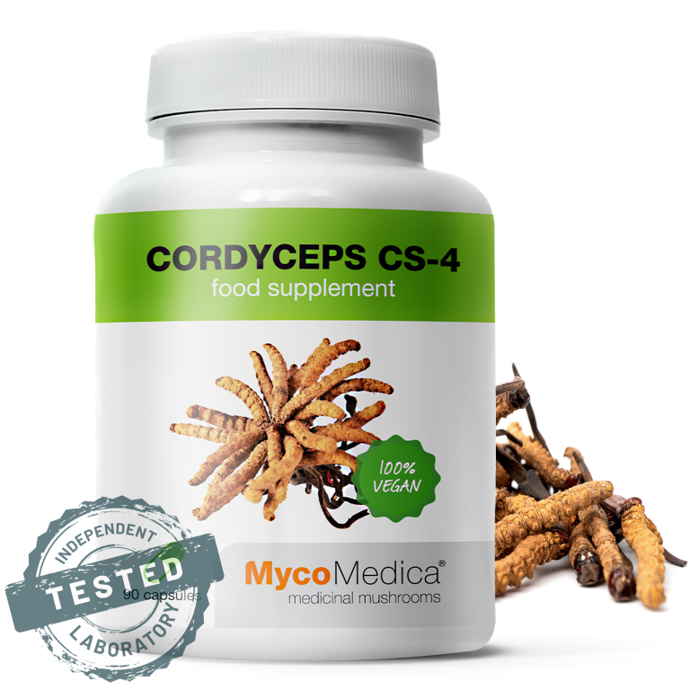 cordyceps-cs-4-detail-s-razitkem-kopie.jpg