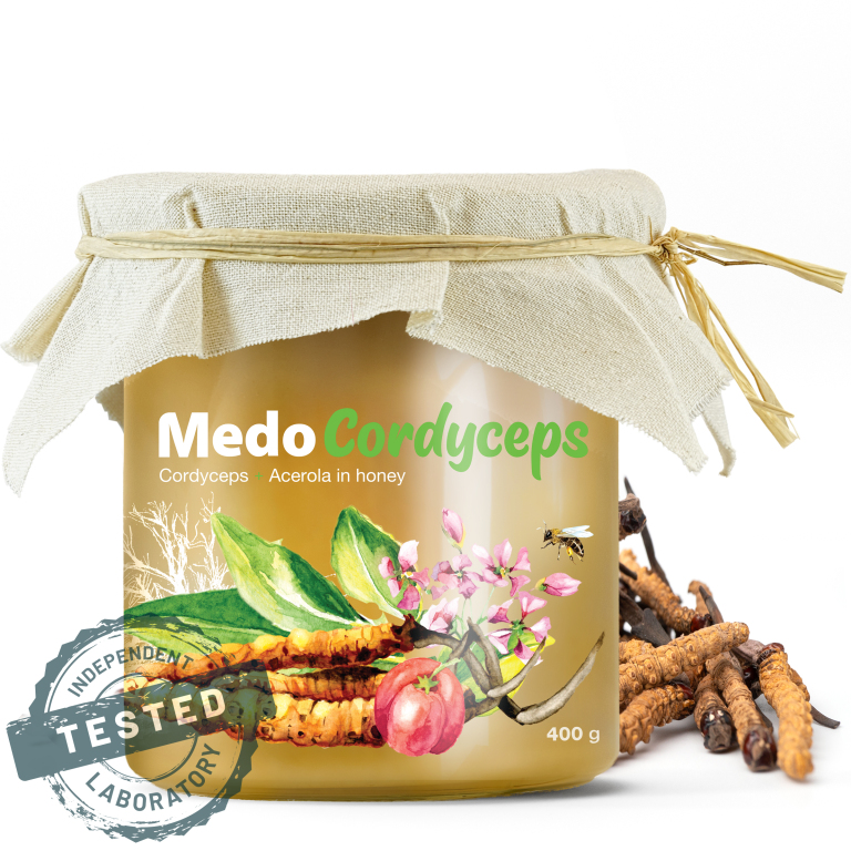 medocordyceps-detail-s-razitkem-kopie.jpg